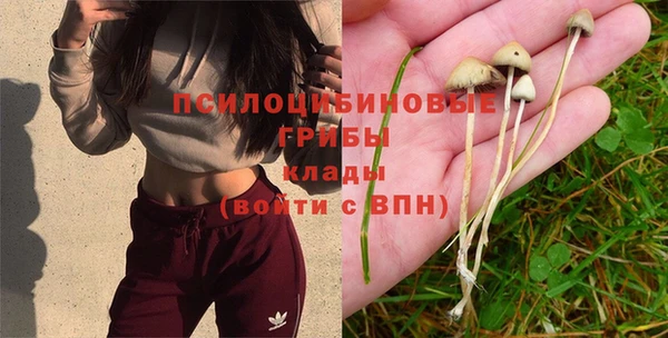 кристаллы Богородицк
