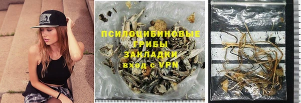 прущие крисы Богданович