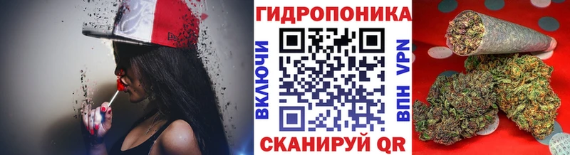 Шишки марихуана ГИДРОПОН  omg как войти  Иноземцево 